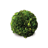 Boxwood Ball 4"