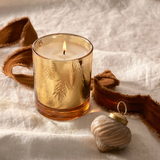 Frasier Fir Gilded Poured Candle 6.5 oz.
