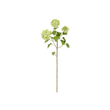 Snowball Hydrangea x3  26"- Light Green