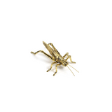 Gold Grasshopper