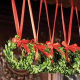 Small Boxwood Wreath with Red Ribbon