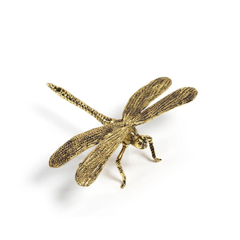Gold Dragonfly