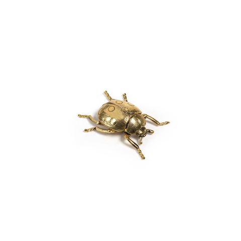 Gold Ladybug