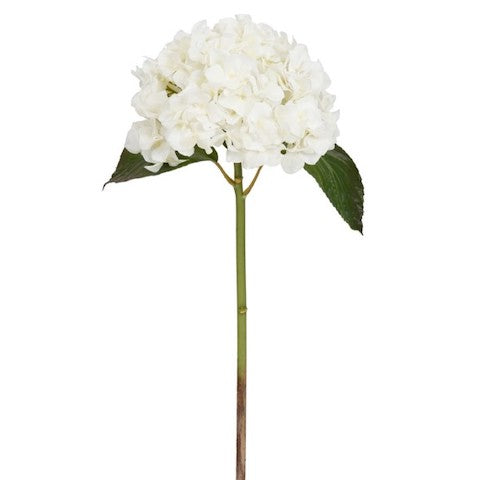 White Hydrangea Stem w/leaves 18"