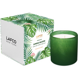 Lafco House and Home Collection Candles