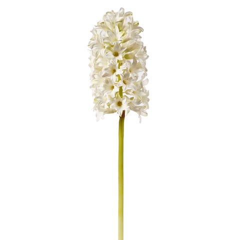 Hyacinth stem in White - 18"